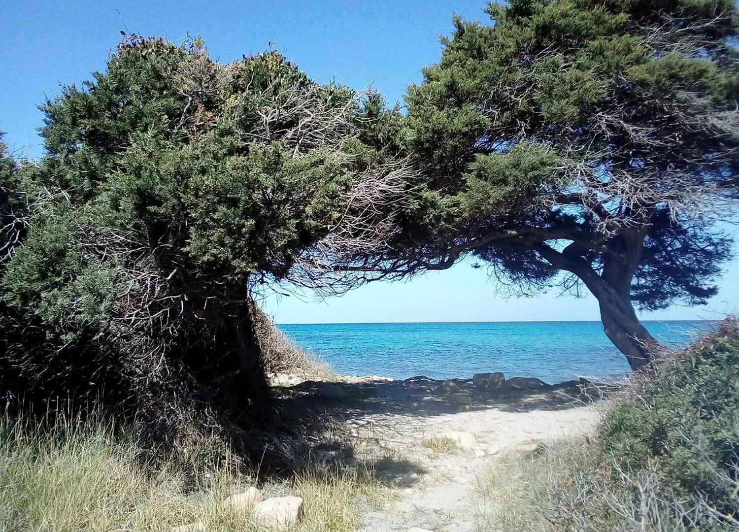 Fewo Arena'S Casa Vacanze La Caletta Lejlighed